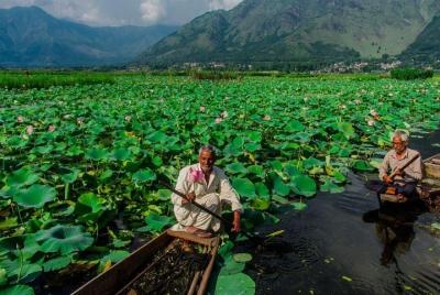 Excursión privada de 4 días a Cachemira increíble desde Srinagar
