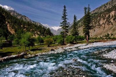 Paquete familiar de Cachemira