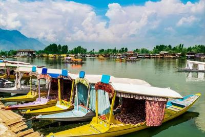 Tour de día completo de Srinagar con entrada, guía y paseo en Shikara