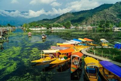 Tour de día completo de Srinagar con entrada, guía, paseo en Shikara y almuerzo