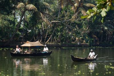 Tour de naturaleza y peregrinación de Kerala (12 días) Tour de naturaleza y peregrinación de Kerala (12 días)