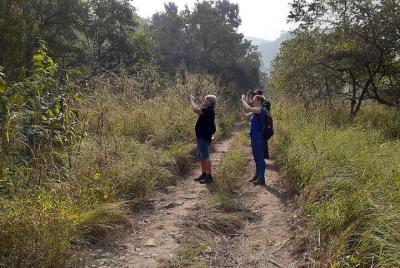 Paseo por la jungla de Kumbhalgarh con visita al fuerte