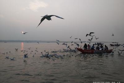 Complete Varanasi Tours