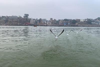 Kashi Tour por Bigjump Kashi Tour por Bigjump