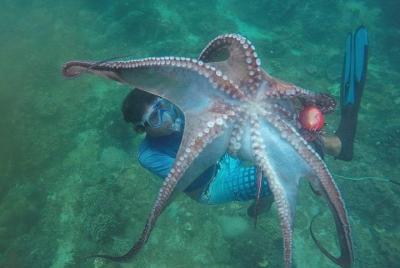 Excursión de pesca con lanza o línea de pesca en el este de Bali en Virgin Beach Excursión de pesca con lanza o línea de pesca en el este de Bali en Virgin Beach