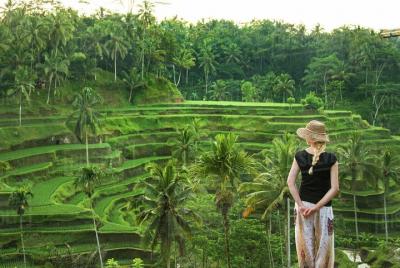 Tour Lo mejor de Ubud: Bosque de monos - Terraza de arroz - Templo del agua - Cascada Tour Lo mejor de Ubud: Bosque de monos - Terraza de arroz - Templo del agua - Cascada