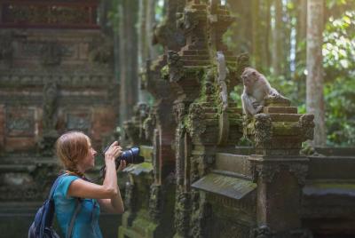 Tour en grupo pequeño de Ubud: bosque de monos, terrazas de arroz de Tegalalang y más