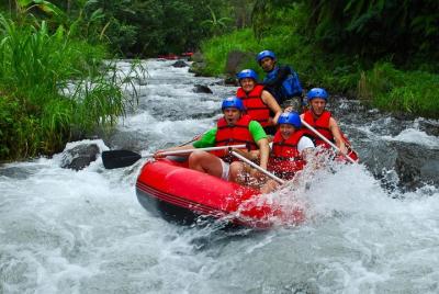 Rafting en el río Telagawaja en Bali con transporte Rafting en el río Telagawaja en Bali con transporte