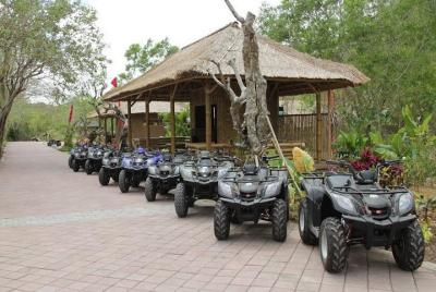 Bukit Sari Rock ATV Adventure - Paseo único
