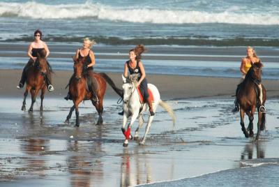 Paseos a caballo en Bali 30 minutos en Black Sand Beach-Ubud Market en un tour privado.