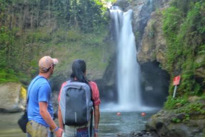 Full Day Ubud y Swing con transporte privado