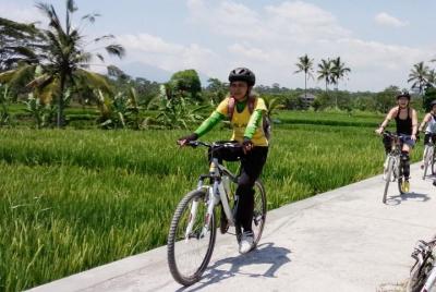 Tour en bicicleta por las montañas y los pueblos de Bali