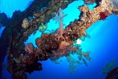 Viaje de buceo en tulamben