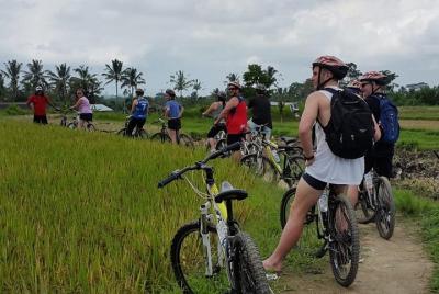 Volcán Kintamani y ruta de ciclismo y ciclismo Ubud por la esencia de Bali Volcán Kintamani y ruta de ciclismo y ciclismo Ubud por la esencia de Bali