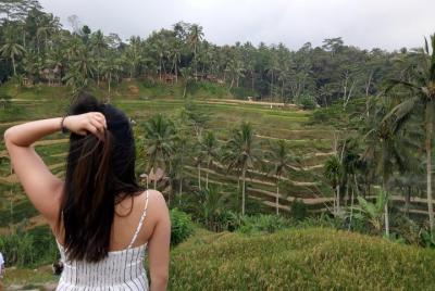 Tour privado incluido: Lo mejor de Ubud en un día