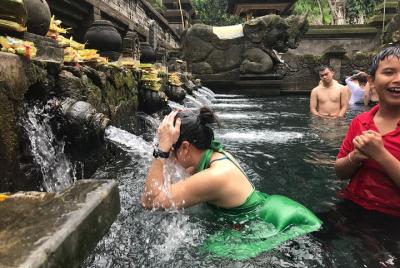 Tour privado personalizado: experimente el este de Bali