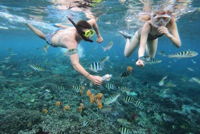Private Guided Snorkeling Experience at Blue Lagoon Beach