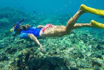 Snorkeling en Blue Lagoon y Tanjung Jepun
