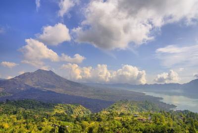 El arte y la naturaleza de la diversidad de Bali