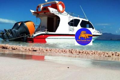 Viaje de 1 día a Komodo utilizando Fast Boat Private. Viaje de 1 día a Komodo utilizando Fast Boat Private.