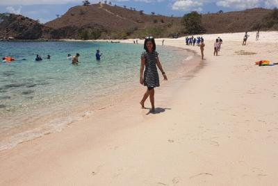 3 días de navegación en Komodo Island, Padar y Manta Point cada viernes 3 días de navegación en Komodo Island, Padar y Manta Point cada viernes