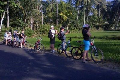 Recorrido en bicicleta por Lombok: campo de arroz de Tempos, pueblo de tejer a mano y templo Pengsong