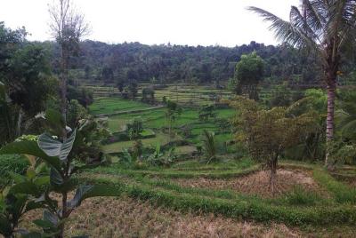 Soft trekking tetebatu