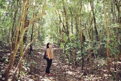 Senderismo en el bosque de Suranadi y baños sagrados