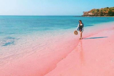 Lombok Pink Beach Island Saltar y bucear con guía de habla japonesa