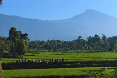 Viaje de trekking y campamento Tetebatu 2D1N a la jungla