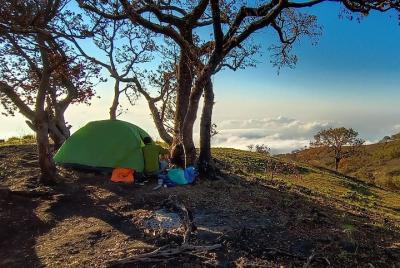 Rinjani trekking 2d 1n por ruta timbanuh