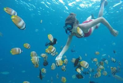 Paquete turístico 5D / 4N (albergue) para mochileros en Lombok