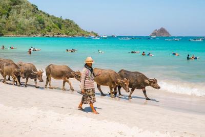 Certificado de buceo + Relajación de lujo PADI ABIERTO AGUA