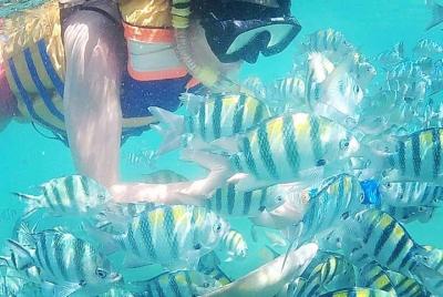 Tour de snorkel en Gili Nanggu