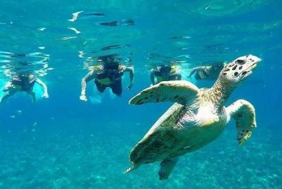 Tour de snorkel en las islas Gili con recogida en Lombok o Gili