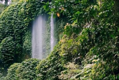 Tour en bicicleta de Tetebatu