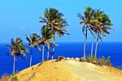 Tour a la cascada Lombok con bosque y colina: Todo incluido