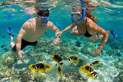Tour de snorkel en la playa rosa Lombok