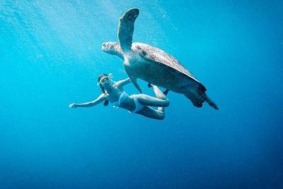 Viaje de snorkel en la isla Gili: Gili Trawangan, Gili Meno y Gili Air, desde Lombok