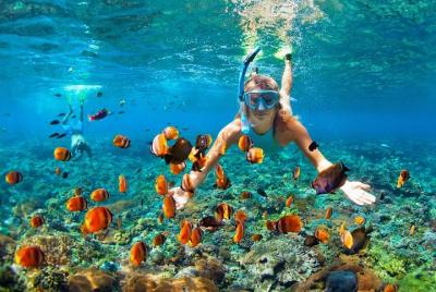 Tour de snorkel en Lombok en las islas Gili con todo incluido