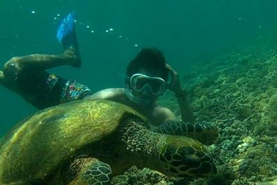 Paquete de viaje de 3 días: esnórquel, visita a la cascada y viaje por la playa (C)