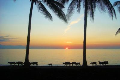 Tour en bicicleta Tugu Lombok