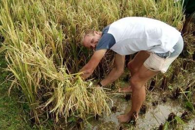 Excursión de un día en la vida local de la tribu Sasak
