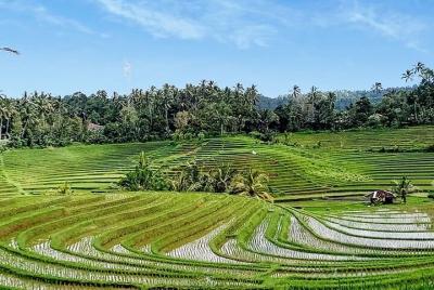 Recorrido de 3 días por todo el día: Templo de Tanah Lot y Lempuyang La Puerta del Cielo Recorrido de 3 días por todo el día: Templo de Tanah Lot y Lempuyang La Puerta del Cielo