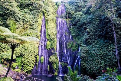 Excursión privada de un día completo ¡Disfruta de Bayumala, la hermosa cascada de Bali! -Bedugul Excursión privada de un día completo ¡Disfruta de Bayumala, la hermosa cascada de Bali! -Bedugul