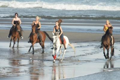 Montar a caballo hilarante en la playa de arena negra y los dos lugares cascadas increíbles Montar a caballo hilarante en la playa de arena negra y los dos lugares cascadas increíbles