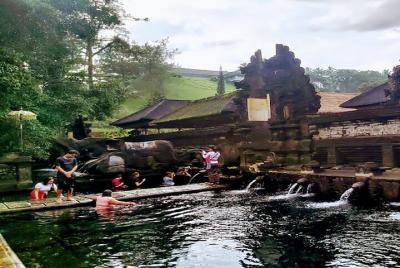 Increíble tour privado de un día completo en el templo de Tirta Empul, plantación de café, volcán Batur Increíble tour privado de un día completo en el templo de Tirta Empul, plantación de café, volcán Batur