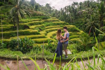 Ciudad de Ubud II: Bosque de monos, palacio, mercado de arte y terraza de arroz Ciudad de Ubud II: Bosque de monos, palacio, mercado de arte y terraza de arroz