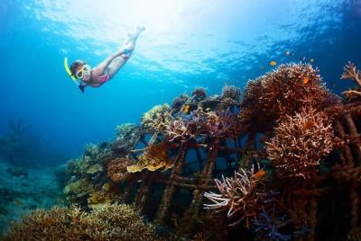Blue Lagoon Snorkeling y Uluwatu Sunset Tour Blue Lagoon Snorkeling y Uluwatu Sunset Tour