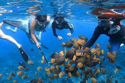 Tour de un día a Nusa Penida con esnórquel Tour de un día a Nusa Penida con esnórquel
